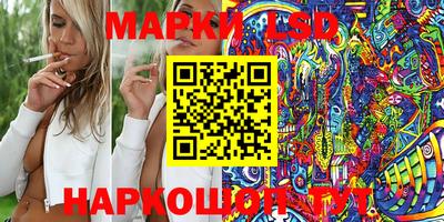 амф Донской