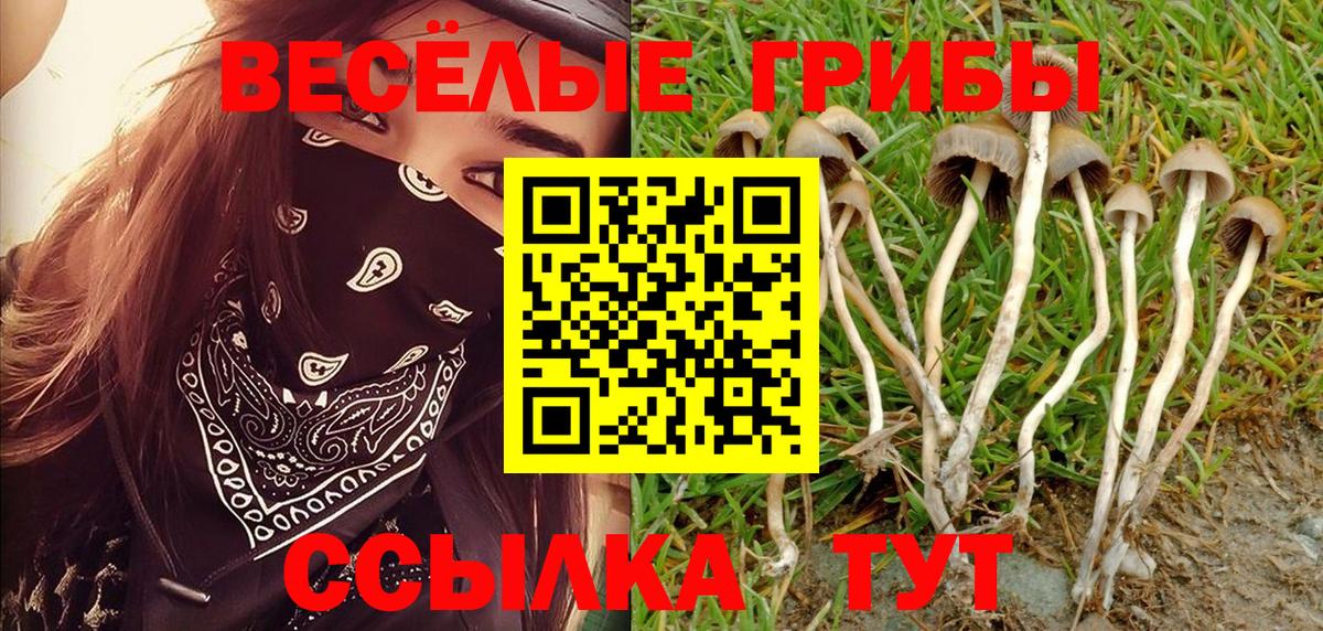 Псилоцибиновые грибы MAGIC MUSHROOMS Заинск